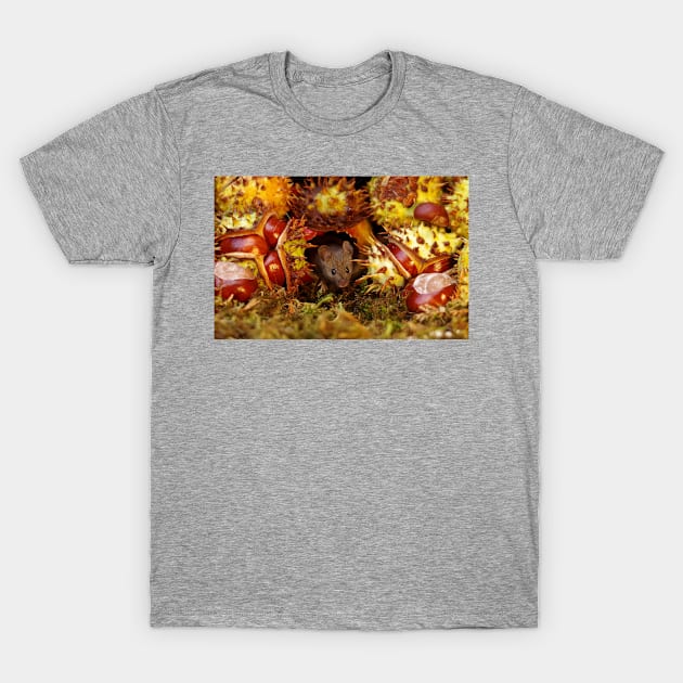 Autumn wild mouse with Horse chestnuts - conkers T-Shirt by Simon-dell